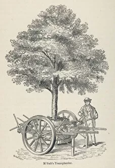 Images Dated 23rd April 2019: McNabs tree transplanter, as used in Edinburgh