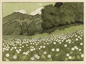 Images Dated 15th October 2007: Meadow in Summer 1904