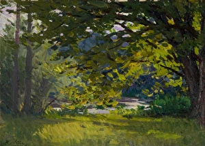 Images Dated 1st September 2010: Meadow with Trees by a River