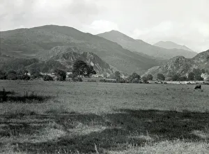 Pasture Prints: Meadows, Snowdonia National Park, North Wales