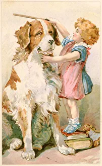 Measure Prints: MEASURING ST BERNARD