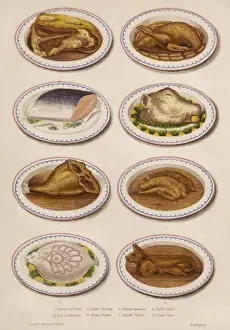 Meat and Fish Dishes