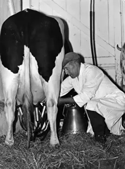 Milking Prints: Mechanical Milking