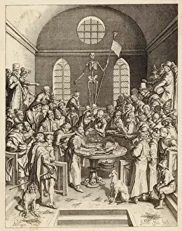 Dissection Prints: Medical / Anatomy C16