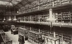 Specimens Prints: Medical museum, St Bartholomews Hospital, London