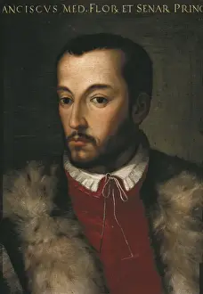 Pitti Prints: MEDICI, Francesco I (1541-1587). Great Duke of