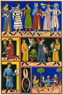 Aspects Prints: Medieval Falconry
