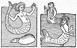 Folklore Prints: Medieval Mer-Folk