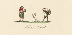 Medieval trained animals