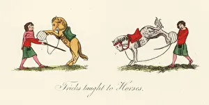 Hooves Prints: Medieval trained horses