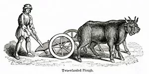 Images Dated 12th March 2019: Medieval two-wheeled plough
