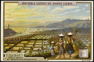 Mediterranean Salt Mines