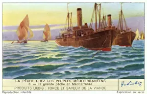 Entire Prints: Mediterranean Steamers