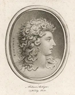 Serpents Prints: MEDUSA