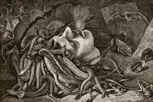 Sees Collection: Medusa, by Leonardo da Vinci