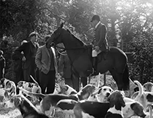 Fox Hound Prints: Meet of the Devon and Somerset hounds