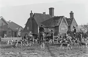The Meet at Sedlescombe