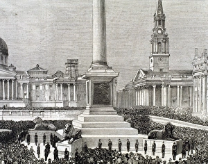 Crowd Demonstrates