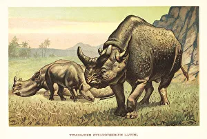 Genus Prints: Megacerops, extinct genus of odd-toed ungulates