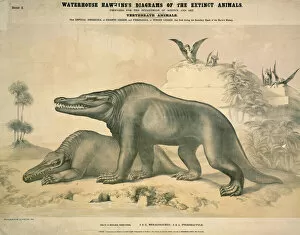 Benjamin Waterhouse Hawkins Collection: Megalosaurus and Pterodactyle