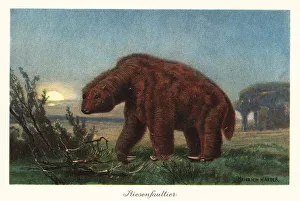 Moonlight Prints: Megatherium americanum in the moonlight