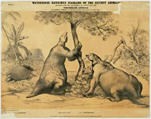 Benjamin Waterhouse Hawkins Collection: Megatherium and Glyptodon