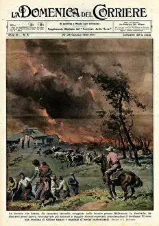 Fleeing Prints: MELBOURNE FOREST FIRE