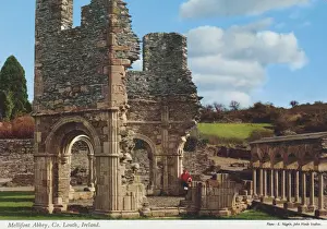 Mellifont Abbey, County Louth, Ireland