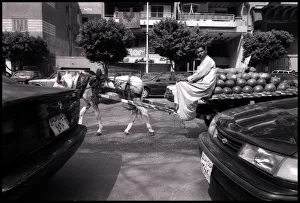 Images Dated 3rd September 2015: Melon seller with donkey Cairo, Egypt. Date: 1980s