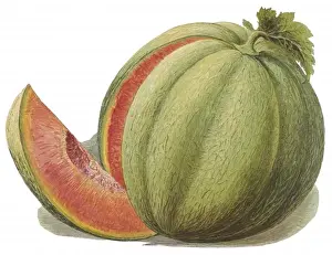 Slice Prints: Melon with Slice Removed