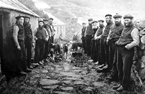 Kilda Prints: Members of the Parliament, St Kilda, Scotland
