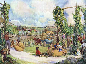 Images Dated 2nd June 2017: A Memory of a Hop Field by F. C. Twort