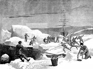 Images Dated 16th August 2004: Men of the British Arctic Expedition cutting a channel throu