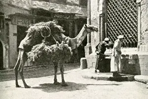 Refreshment Prints: Men and camel at a fountain, Cairo, Egypt