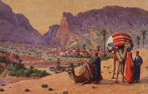 Images Dated 7th December 2015: Men with camels