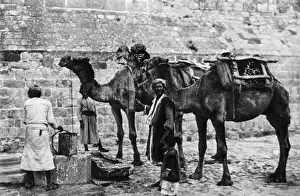 Cistern Prints: Men with camels at a cistern, Bethlehem