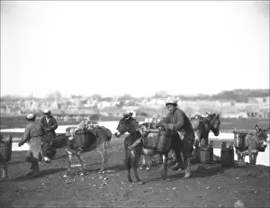 Xinjiang Prints: Men with donkeys in Kashgar, western China
