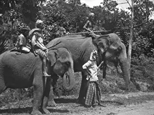 Men and elephants on the Kandy road, Sri Lanka