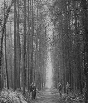 Footpath Gallery: Four men in Forest of Bere, Hampshire, England