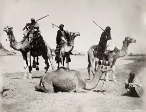 Men with guns mounted on camels, Egypt