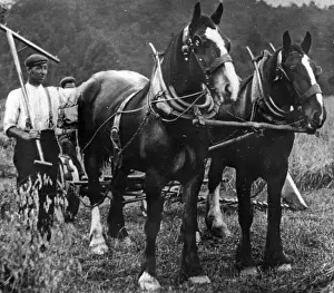 Ploughing Prints: Men and horses ploughing in a field, South Wales
