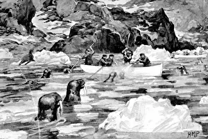 Men of the Jackson-Harmsworth Polar Expedition hunting walru