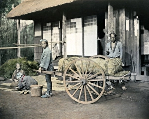 Japan Rice Farming 1890S