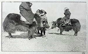 Advance Collection: Men riding yaks, from a fascinating album which reveals new details on a little-known campaign in