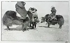 Hiding Prints: Men riding yaks, from a fascinating album which reveals new details on a little-known campaign in which a British