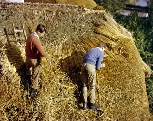Thatching Prints: Two men thatching a roof