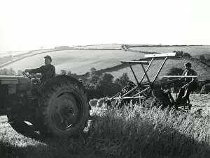 Labourer Collection: Men using a reaping machine at harvest time, Cornwall
