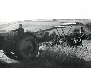 Reap Prints: Men using a reaping machine at harvest time, Cornwall