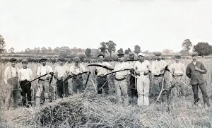 Images Dated 8th June 2021: Twelve men went to mow