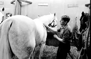 Brushing Prints: Men at work in a stable